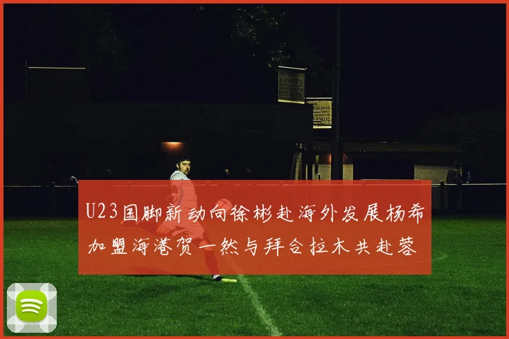 U23国脚新动向徐彬赴海外发展杨希加盟海港贺一然与拜合拉木共赴蓉城
