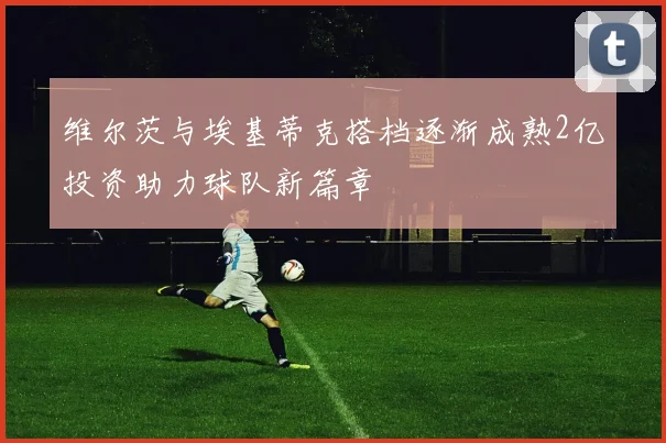 维尔茨与埃基蒂克搭档逐渐成熟2亿投资助力球队新篇章