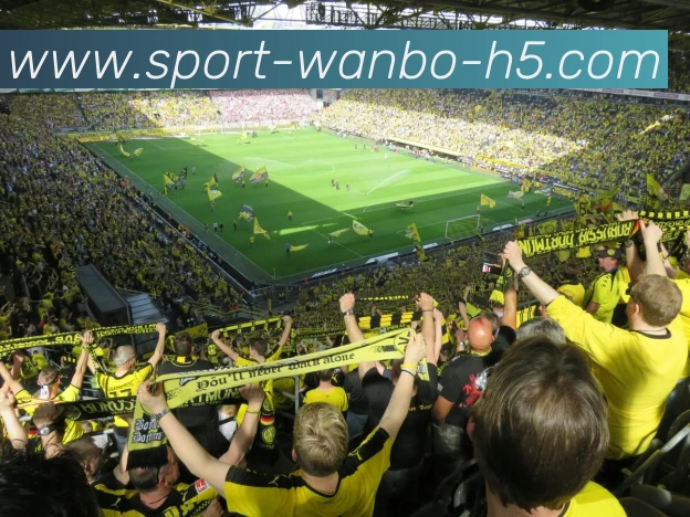 万博体育平台生态图